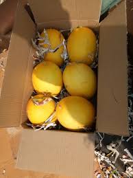 कोहिनूर खरबूज