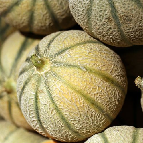 मधुमती खरबूज